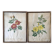 Duo of lithographs JP Redouté Rosier Eglantier red and yellow