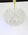 1 of 6 large tulip glass chandeliers by Kalmar, Austria, 1960s