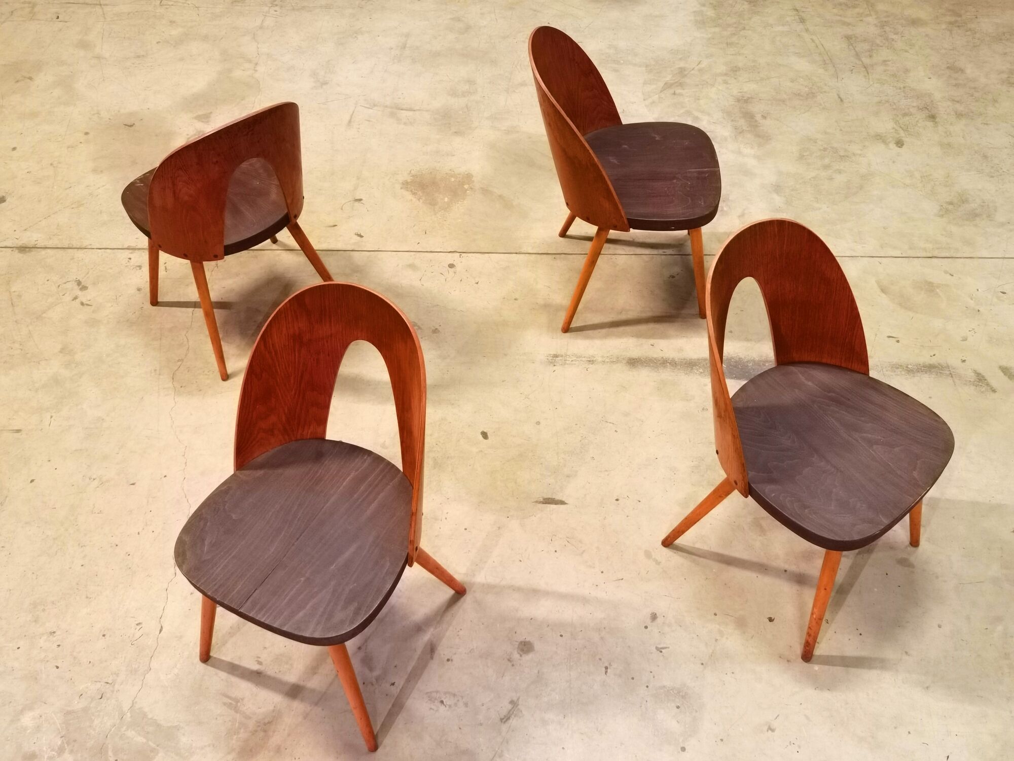 Set of 4 Antonin Suman chairs for Tatra Nabytok 1960