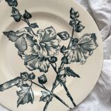 Old flat iron earth plate “Tremières” Salins