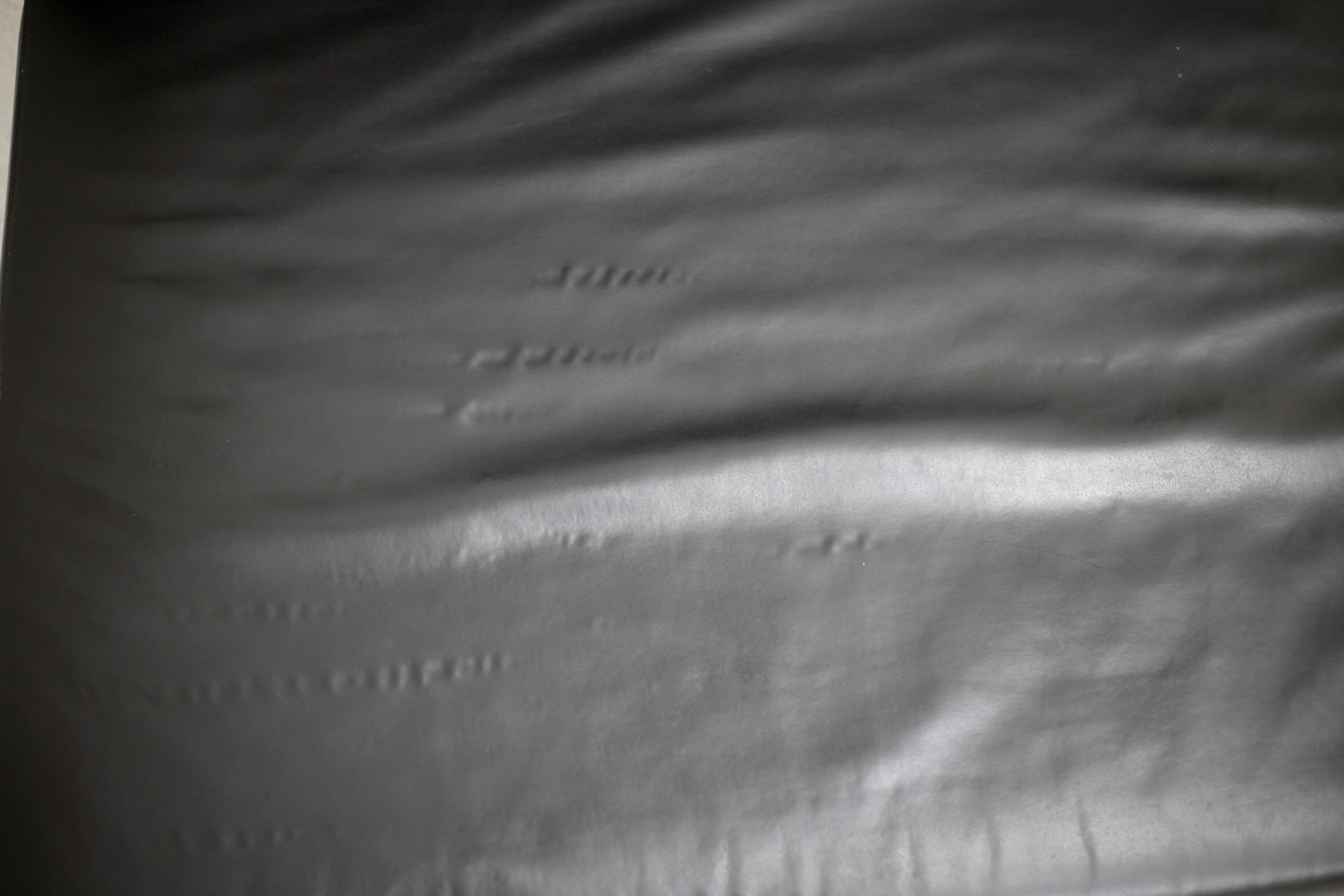 Modular sofa 2 places model "Plastics"Piero Lissoni Italy, circa 2005