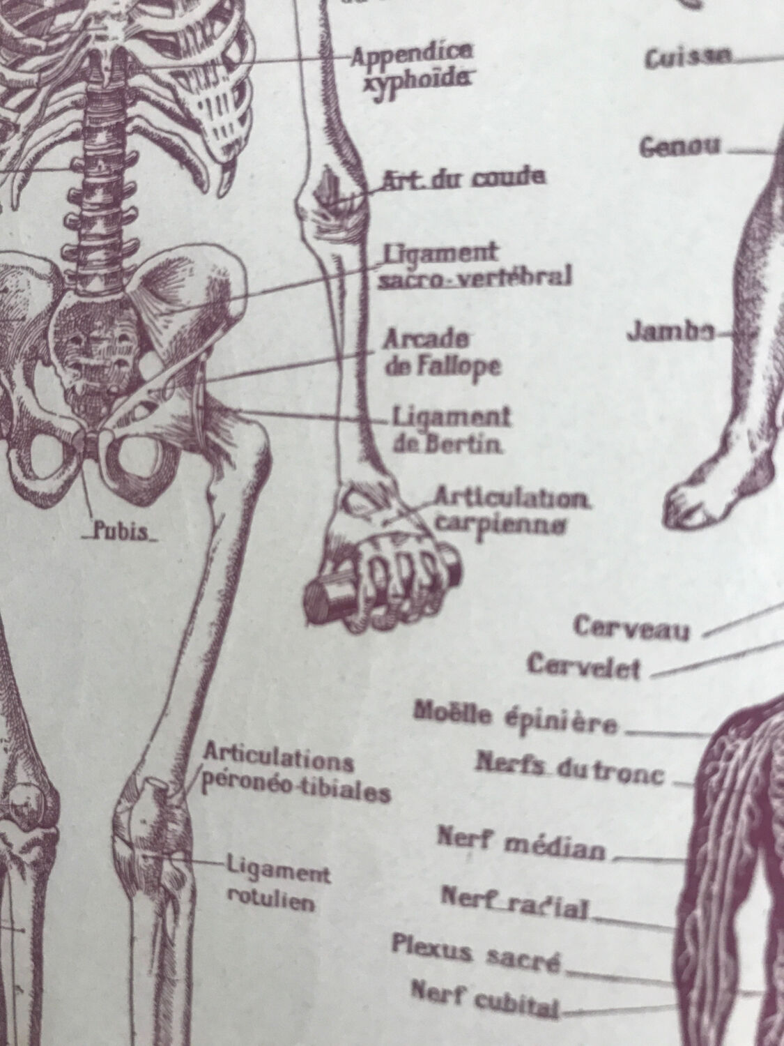 Original medicine board
