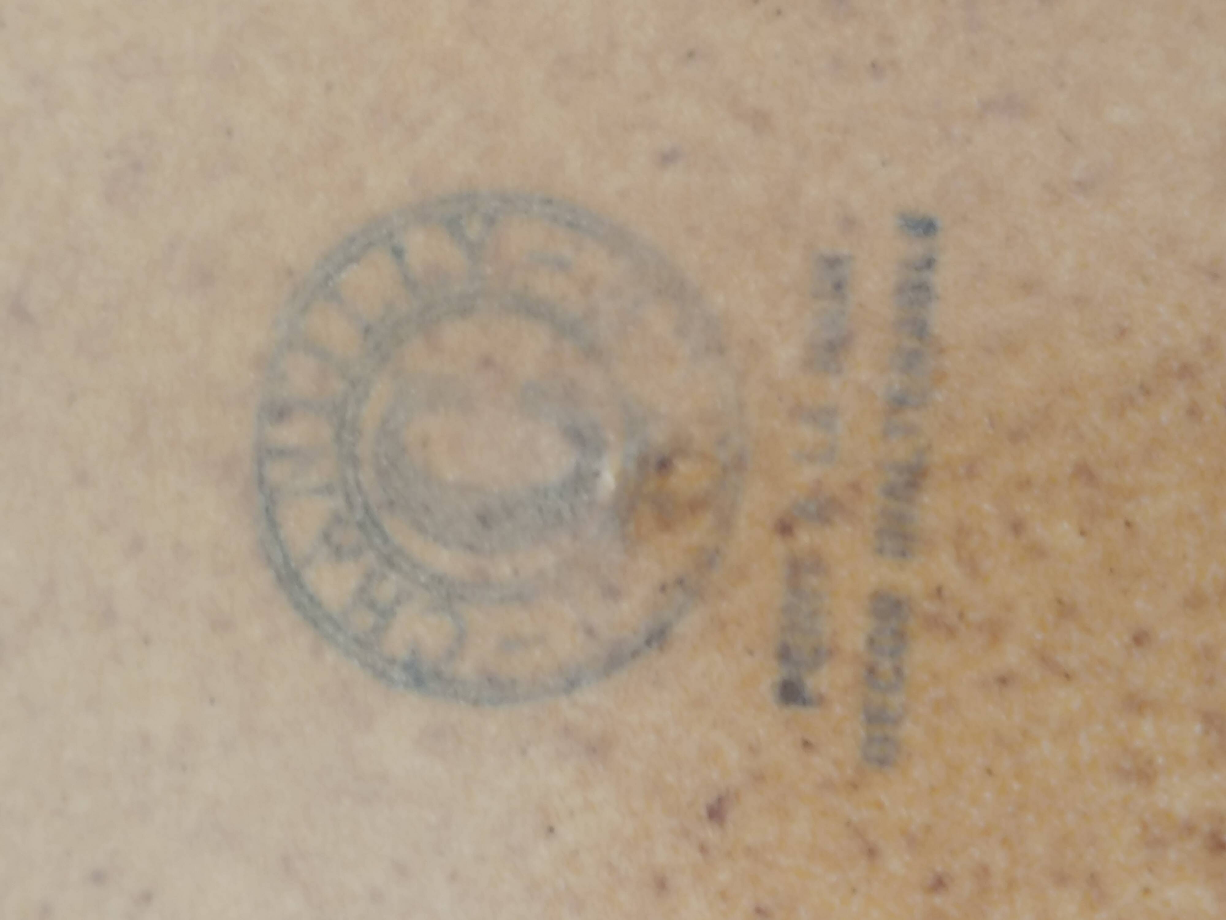 12 stoneware dinner plates in shades of beige and brown. Chantilly, France. Fish motif.