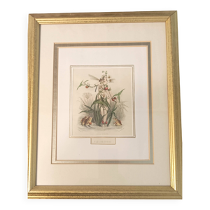 Cadre fleurs animées