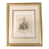 Animated Flowers Frame by JJ Grandville - Water Arrow