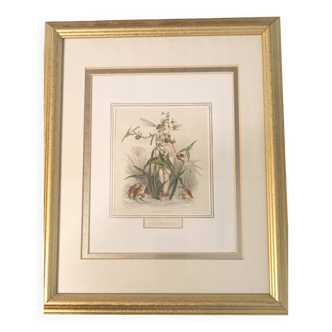 Animated Flowers Frame by JJ Grandville - Water Arrow