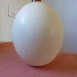 Autuche egg