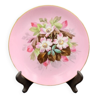 Paris porcelain plate Louis-Philippe circa 1840 Clematis decor