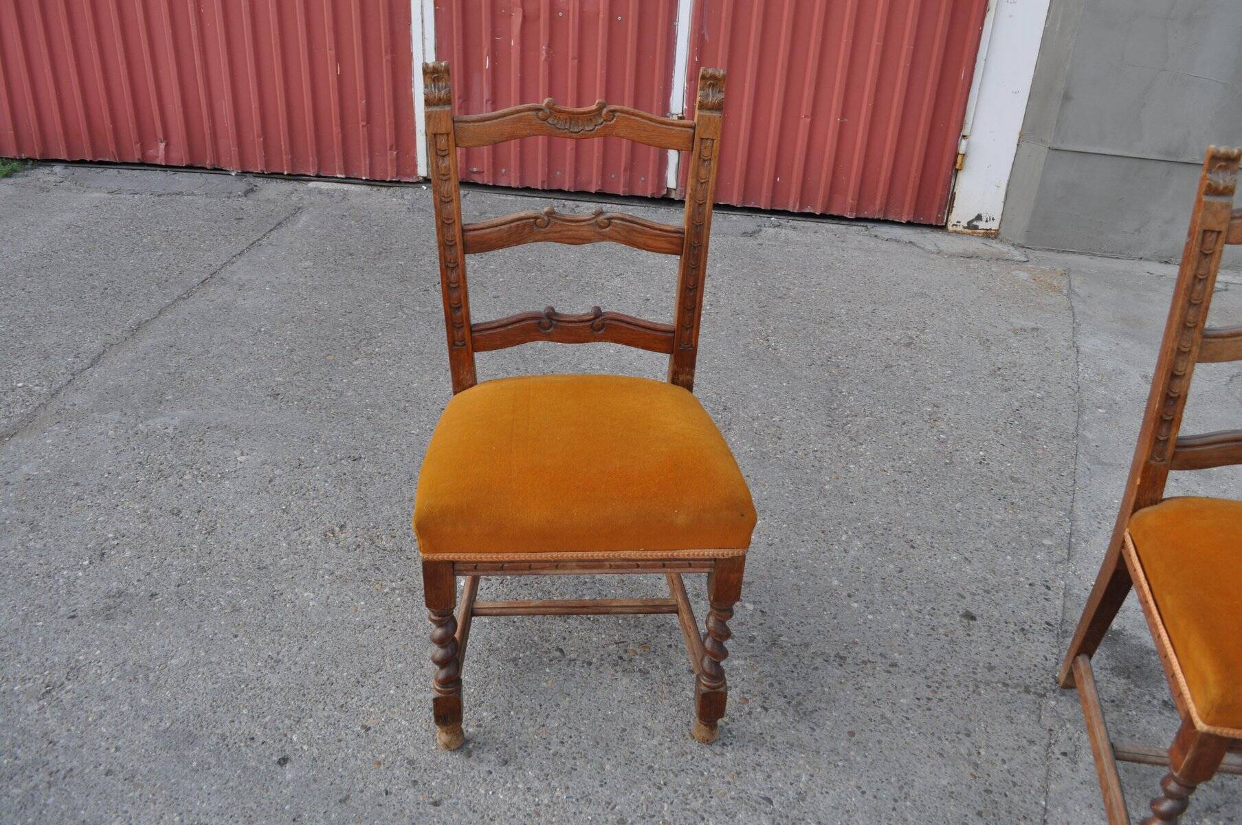 Pair of mid-century chairs from the 1950s in brown oak and straw yellow velvet — set of 2