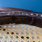 Mundus chair in curved wood