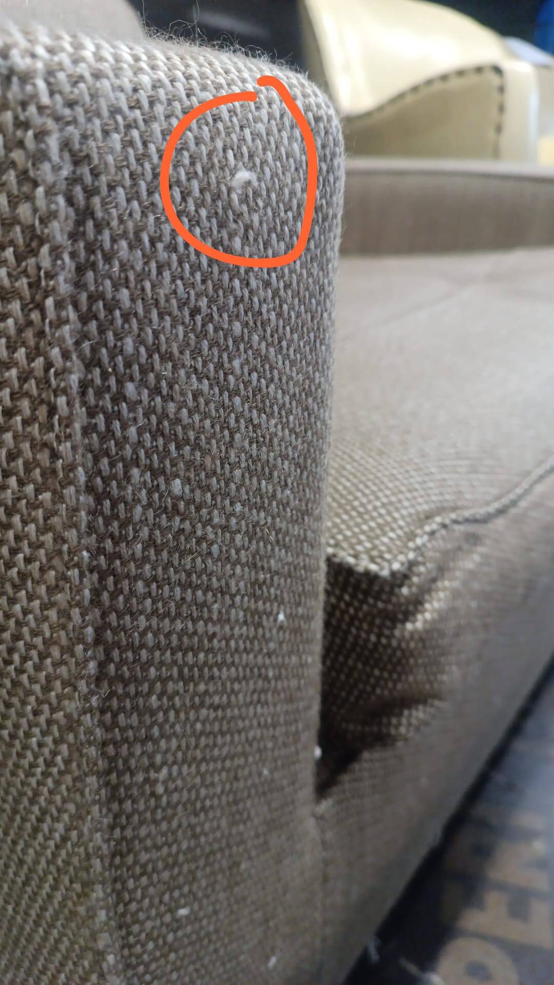 Paire de fauteuils des années 1960