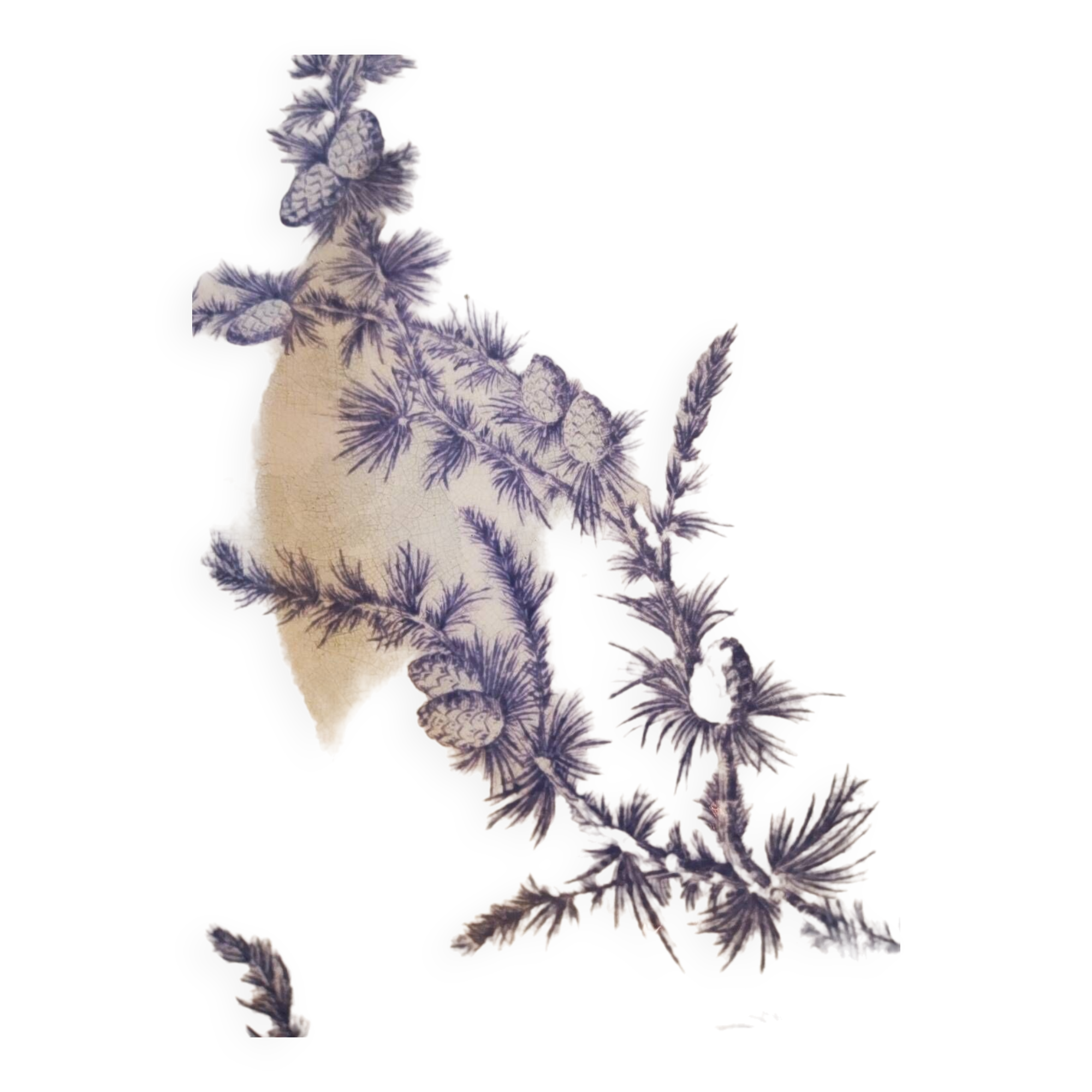 Assiette plate demi deuil