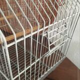 Old bird cage decoration