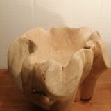 Teak root