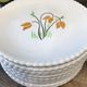 Set of 12 dessert plates KG Lunéville Badonvillier