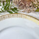 8 porcelain plates limoges w. guerin & cie blanche dorée