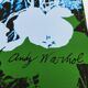 1980s Andy Warhol "Flowers" Limited Edition Lithograph by CMOA