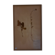 19th herbarium plank