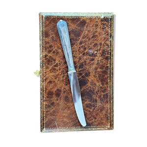 coffret de 12 couteaux