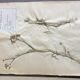 Lot de 3 planches d’herbier