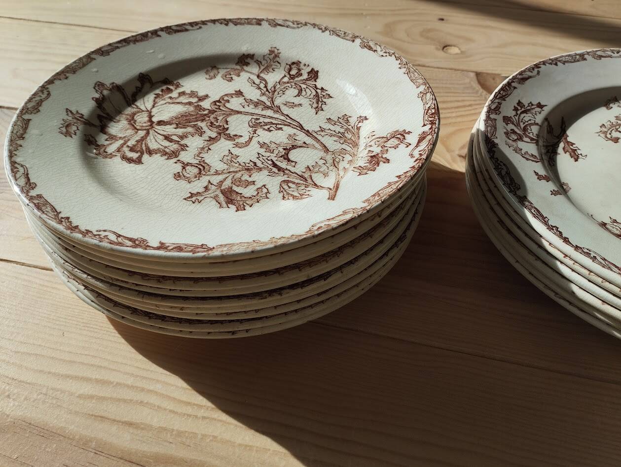 Datura plates iron earth