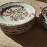 Datura plates iron earth