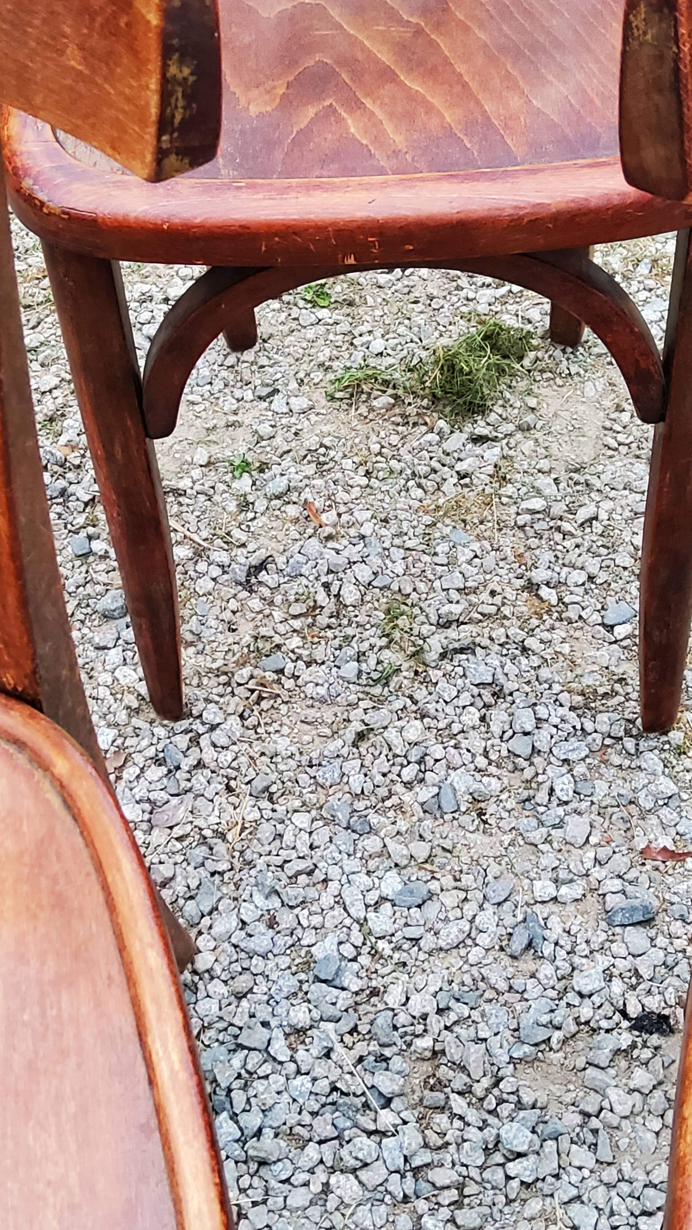 Set of 5 Stella bistro chairs from the 50s