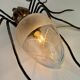 Mid-Century Spider Wall Lamp, 1960s