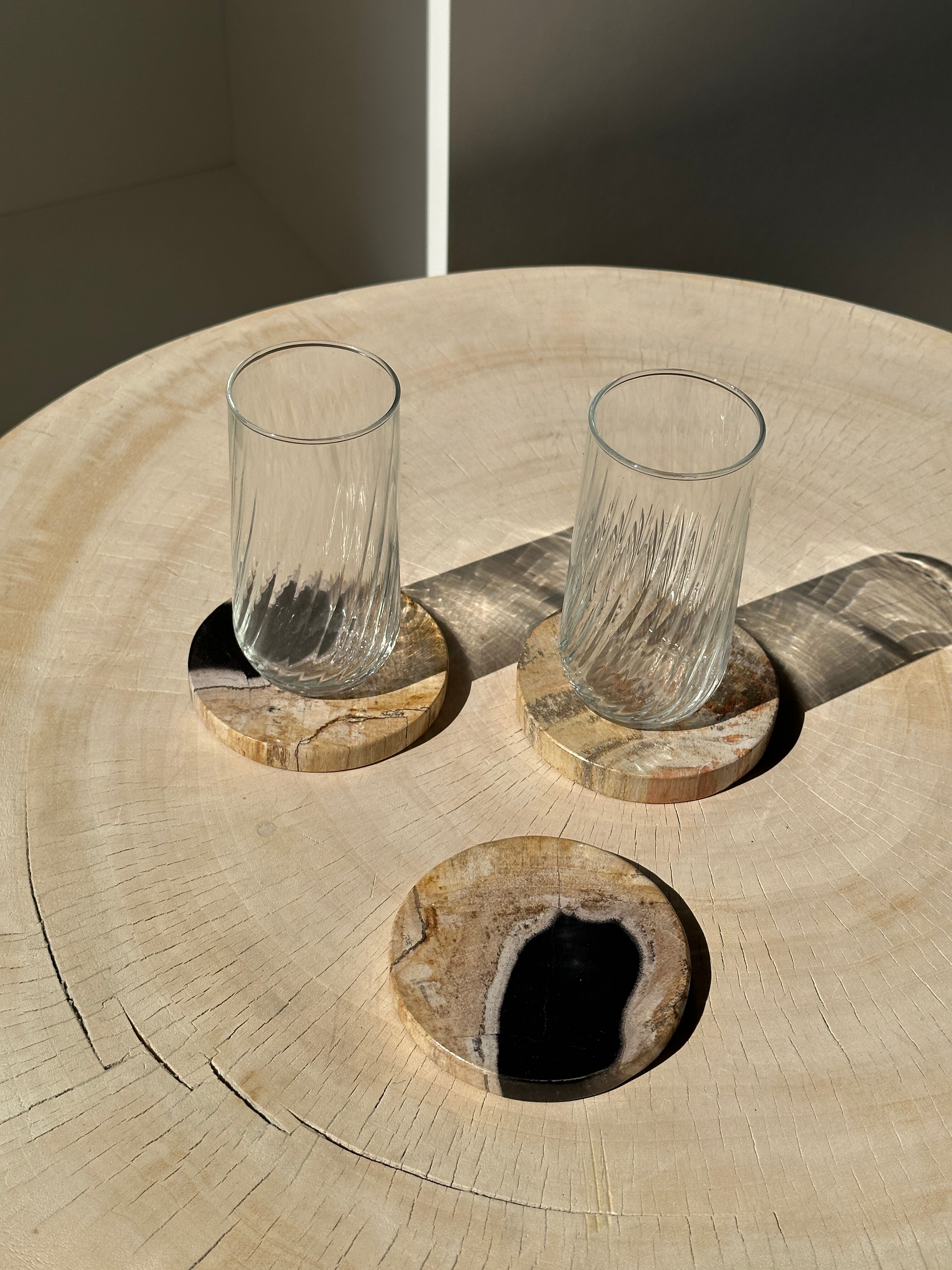 Set of 3 fossilized wooden coasters (clear)
