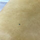 Banquette rockabilly vintage jaune1960