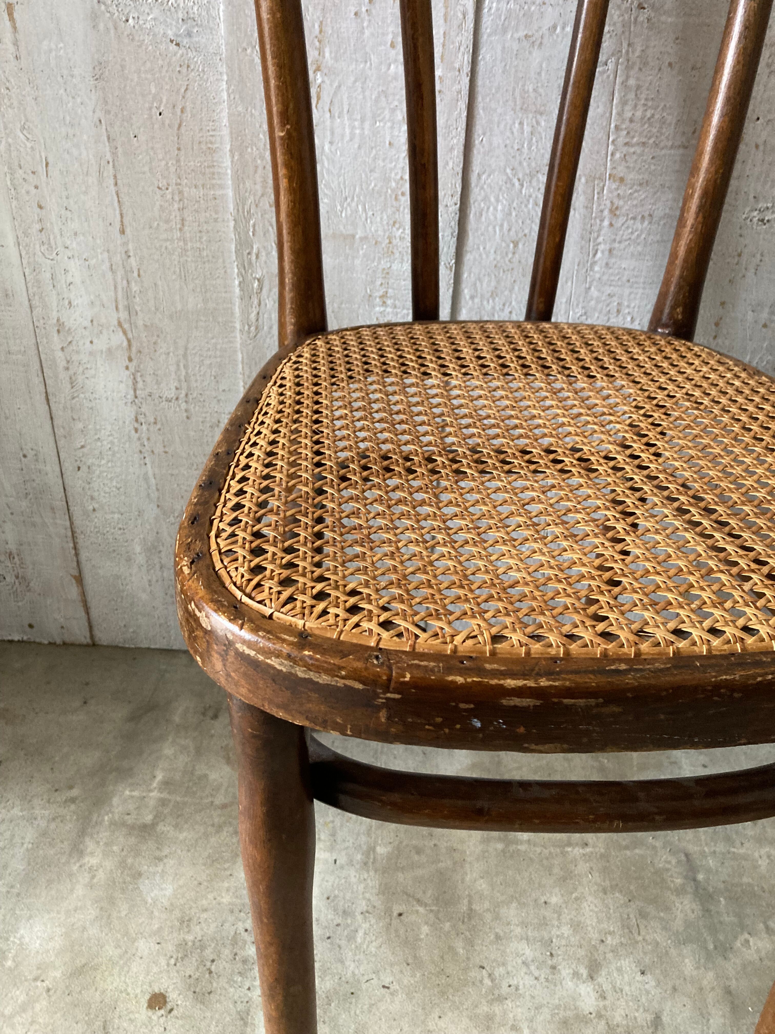 Series of 3 Thonet chairs