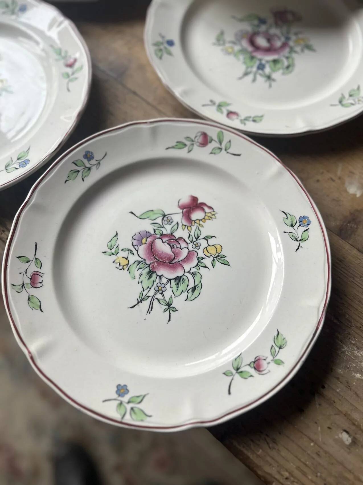 Set of 10 flat plates Villeroy & Boch – bucolic design – 24.5 cm