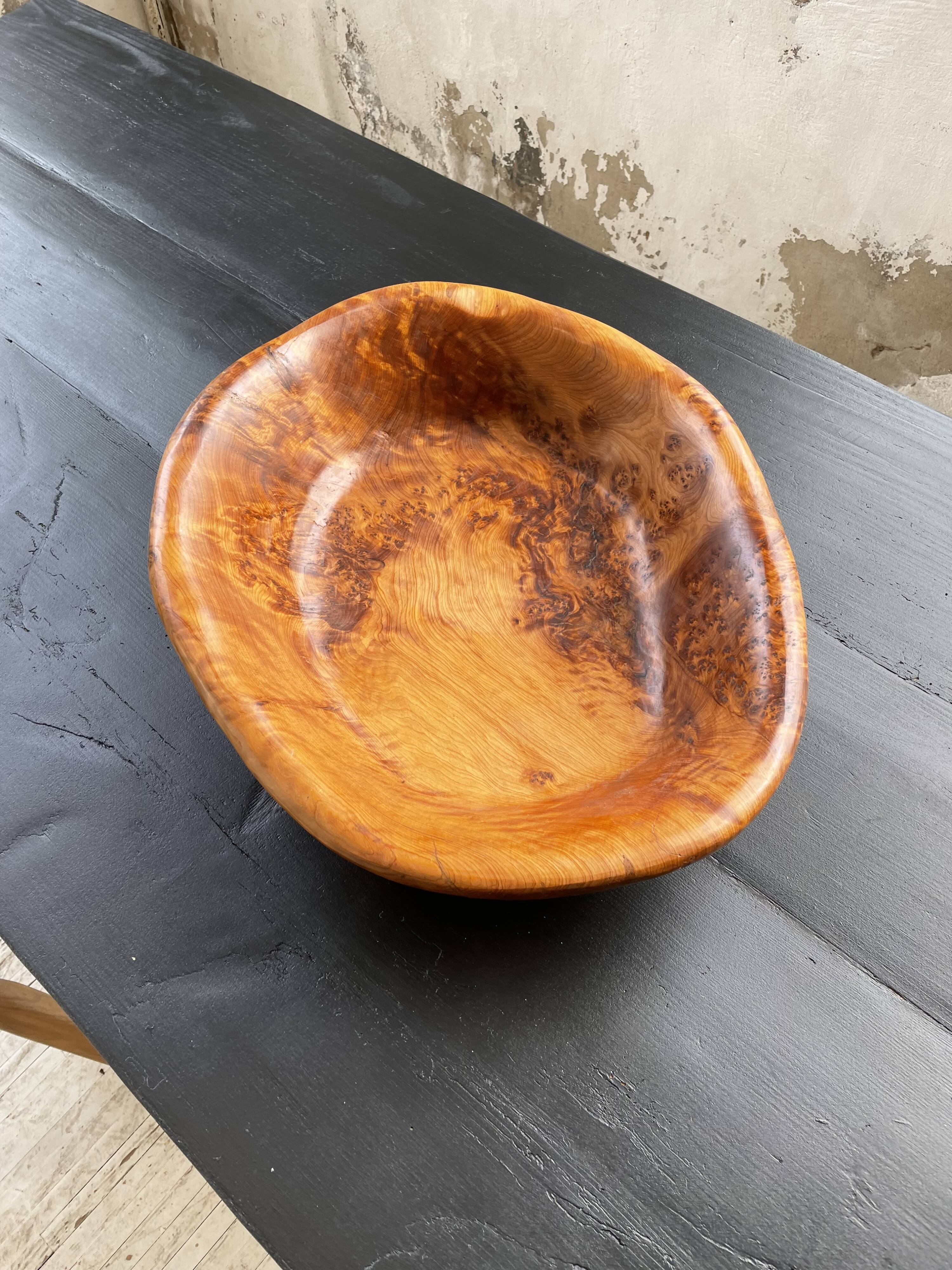 XL thuja root wooden dish