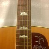 guitar Suzuki j200