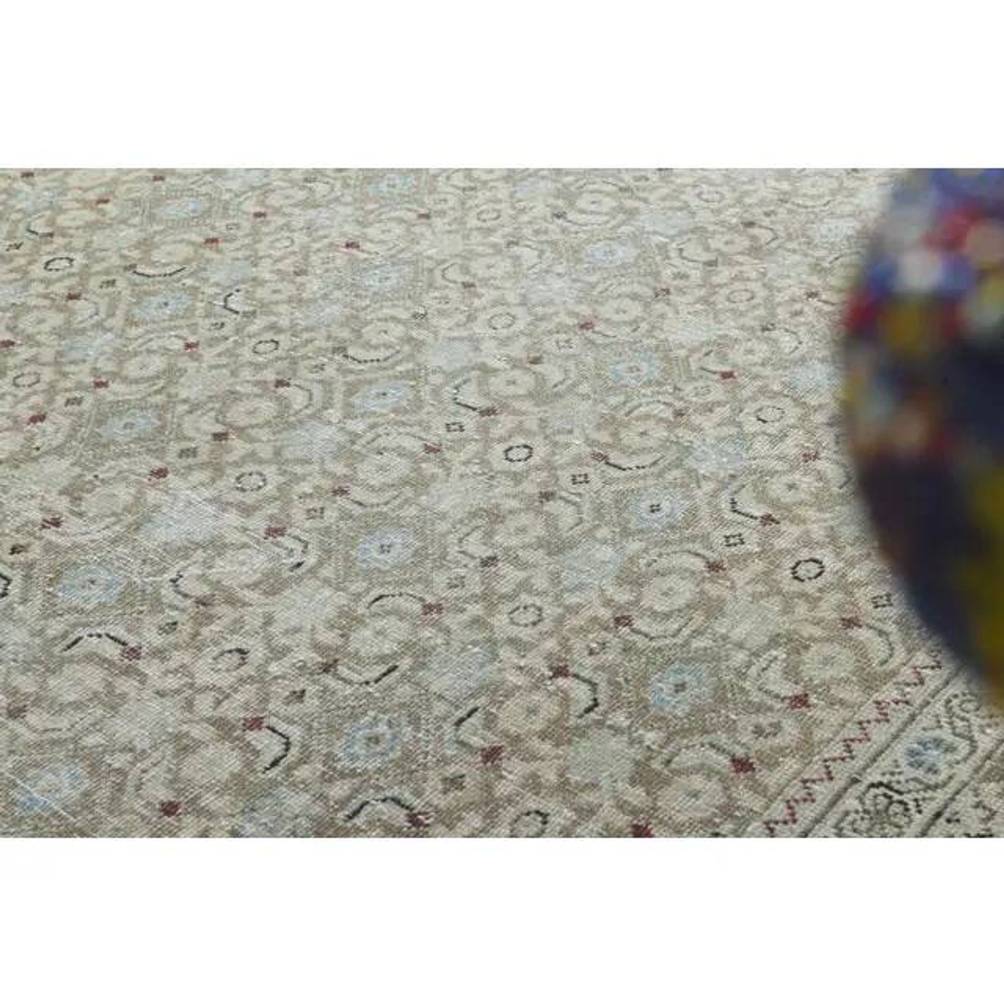 1970s Vintage Persian Handmade Wool Cotton Green Area Rug 295x400