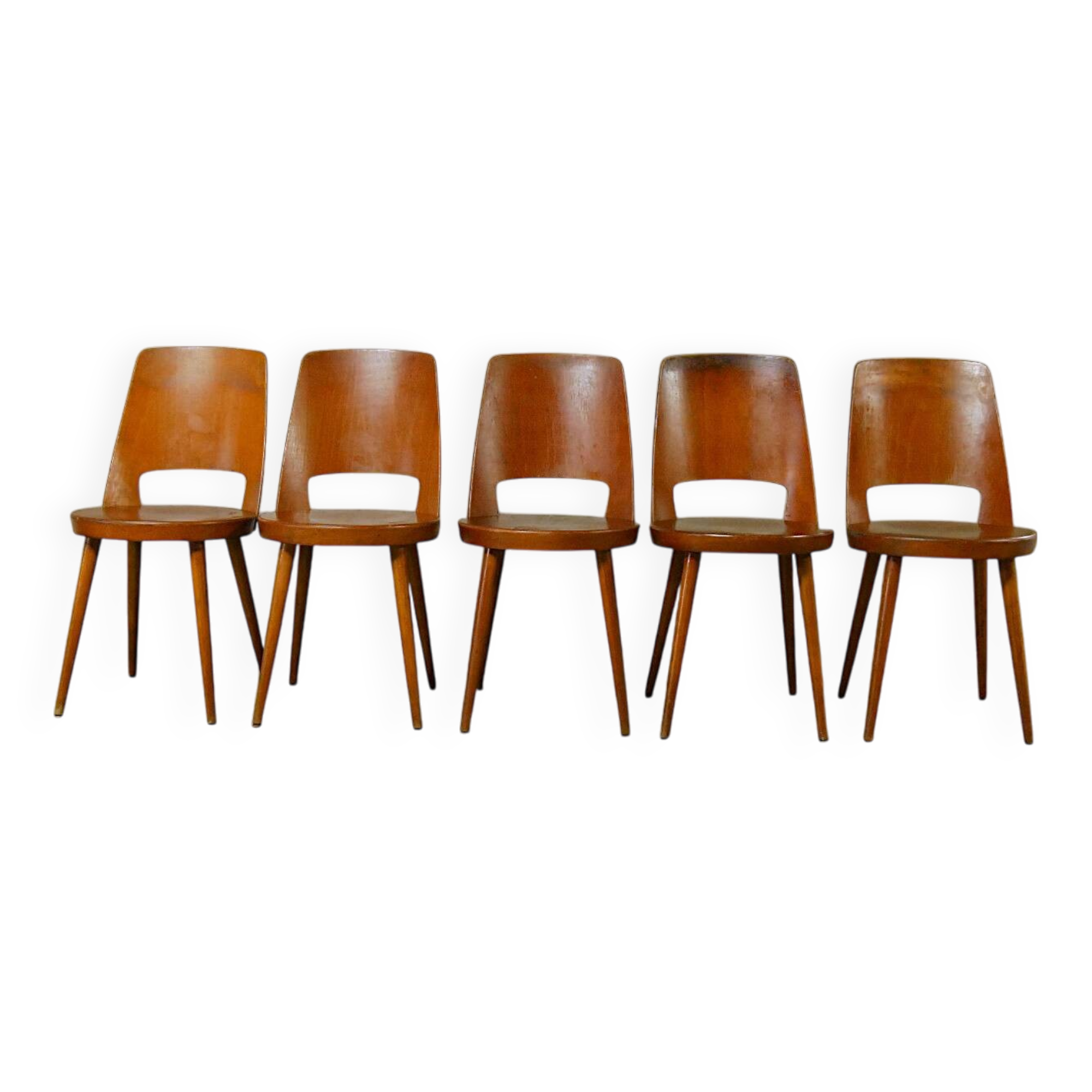 5 chaises Baumann Mondor, 1950-1960
