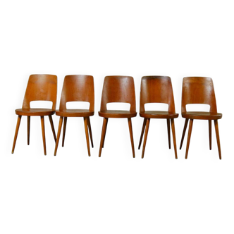 5 Baumann Mondor chairs, 1950-1960