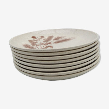 Plates in sandstone wheat epis