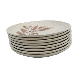 Plates in sandstone wheat epis