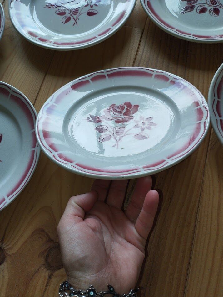 Set of 6 antique Badonviller flat plates in decorated earthenware.