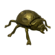 Empty pocket scarab