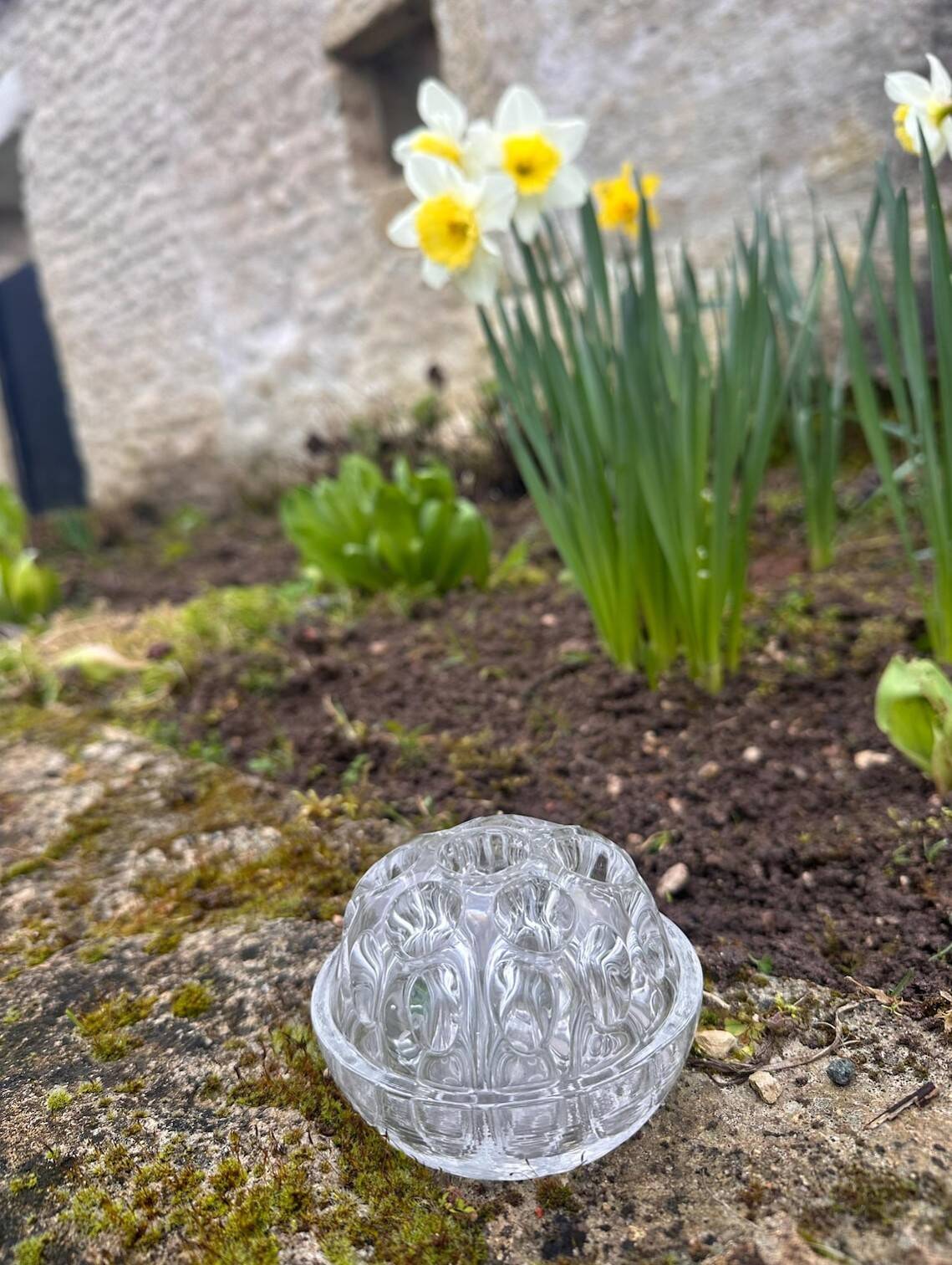 Medium-sized antique flower holder in transparent moulded glass, vintage.