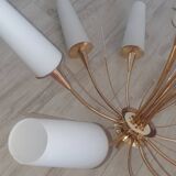 Lustre tulipe