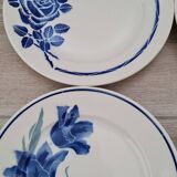6 Assiettes bleues