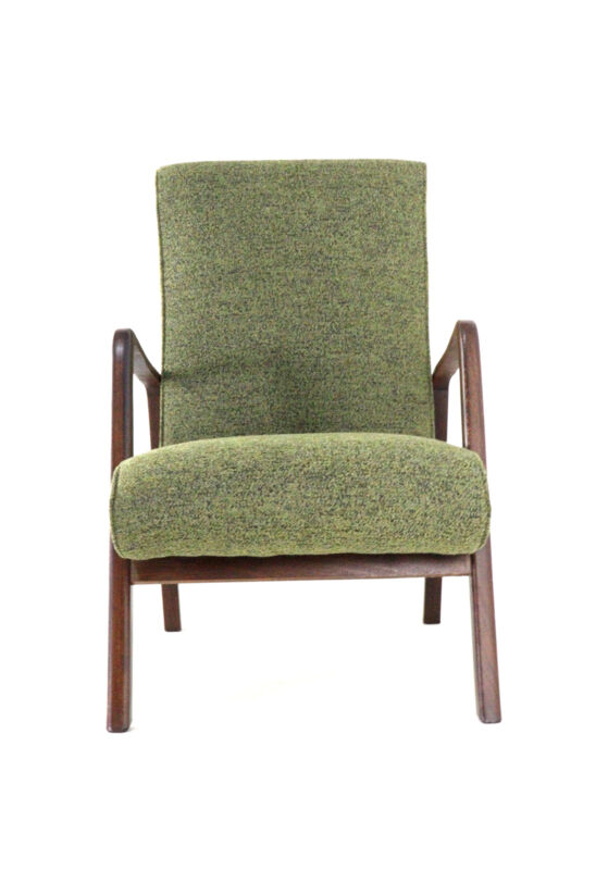 Knicos Armchair in Wengé with Green Upholstery | very rare dutch design