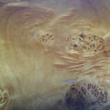 Coffee table for Roche Bobois 70s Elm loupe or thuya