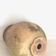 Biot Jar
