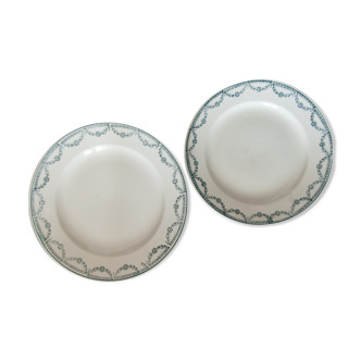 Old dessert plates, green flower decoration, iron earth