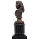 Bronze bust jacob van campen, 1595 - 1675, sculptor jacques elion 1842-1893