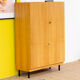 Vintage scandinavian wardrobe